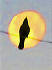 solarraven mystical  adventures