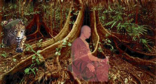 meditating monk